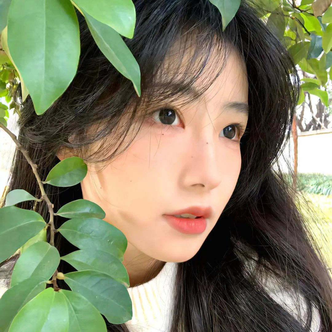 晴天小猪